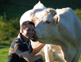 La Charolaise une vache facile à élever La Charolaise une vache facile à élever