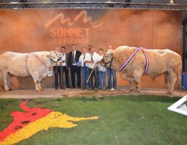 sommet 01 sommet 01