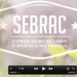 Découvrez la vidéo  « la charolaise en Sarthe »