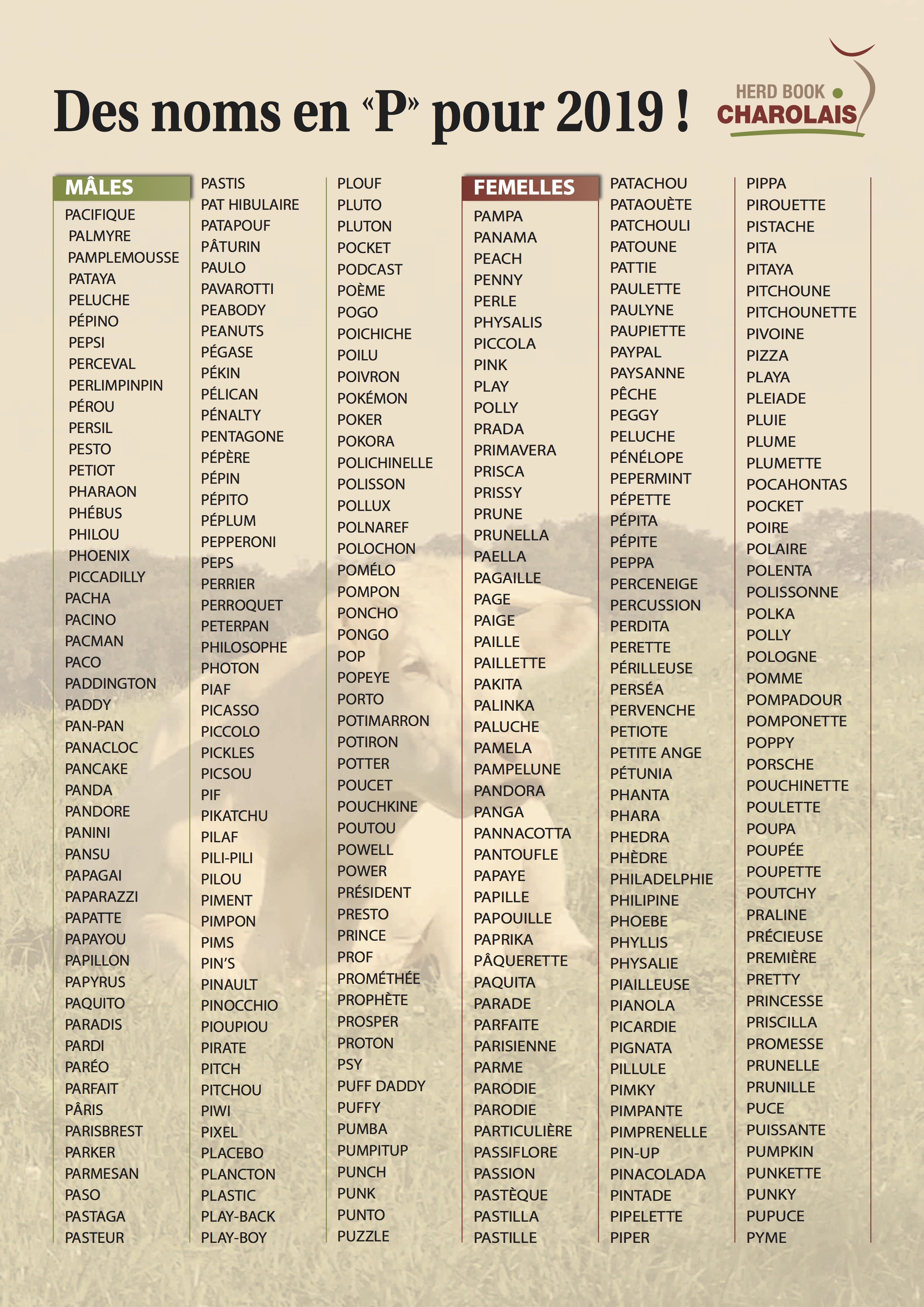 Liste Des Noms En P Herd Book Charolais