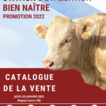 Vente Station Bien Naître 2021-2022 – VIDÉOS DES 44 VEAUX !!