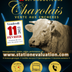 11 Février 2022 – Vente aux enchères de la Station d’évaluation Charolaise de Côte d’Or