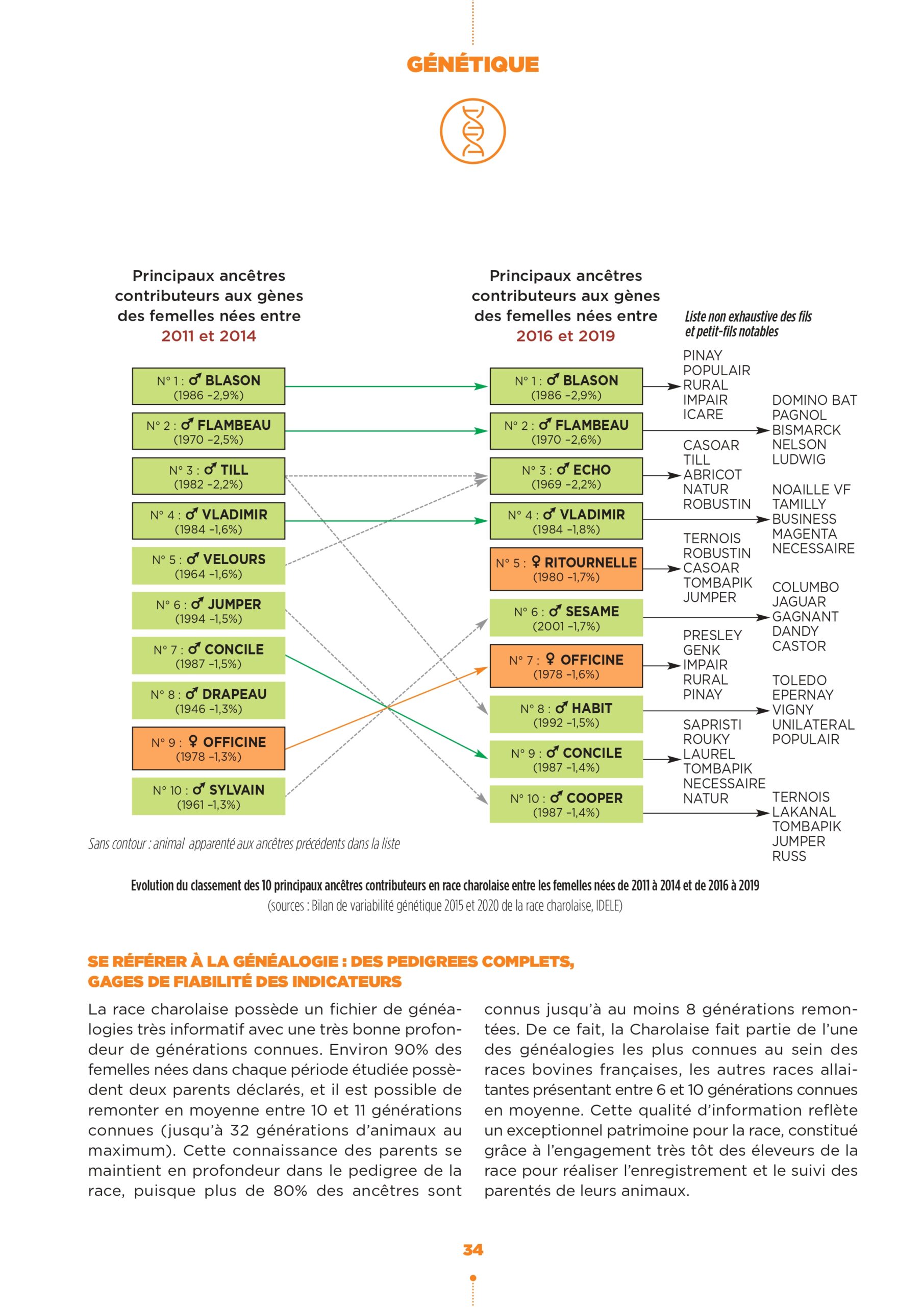 #253 - CONSANGUINITE_page-0003