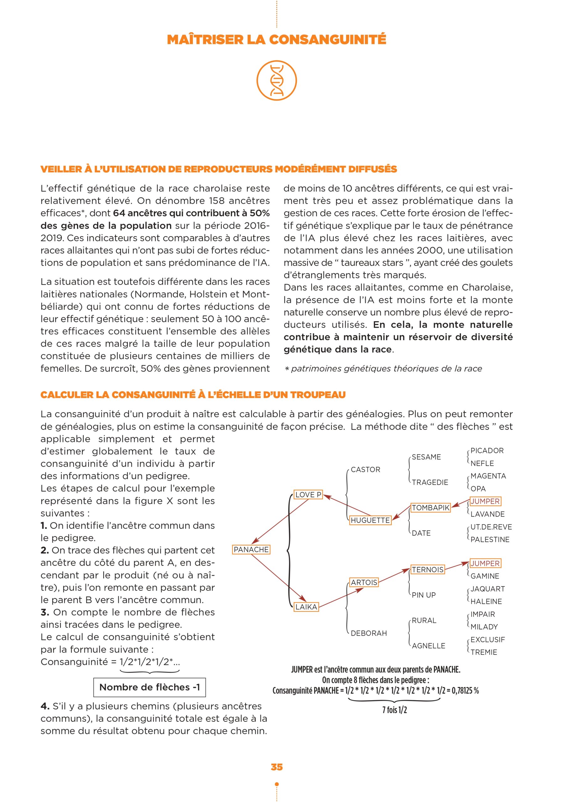 #253 - CONSANGUINITE_page-0004