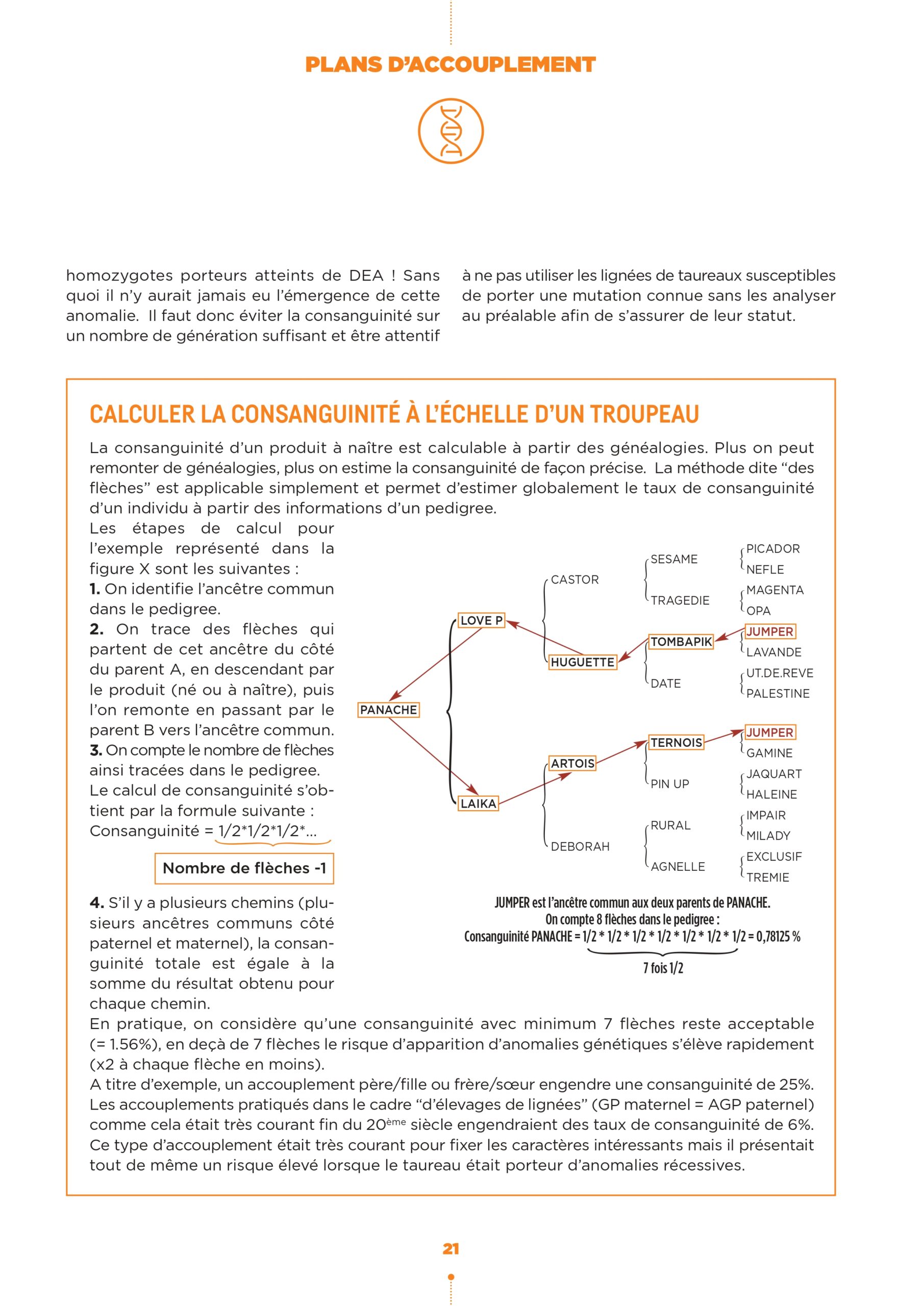 BAT03 Intérieur 48 pages-19-23_page-0003