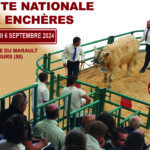 VENTE NATIONALE AUX ENCHÈRES 2024