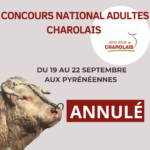 Le Concours National Adultes 2024 est annulé