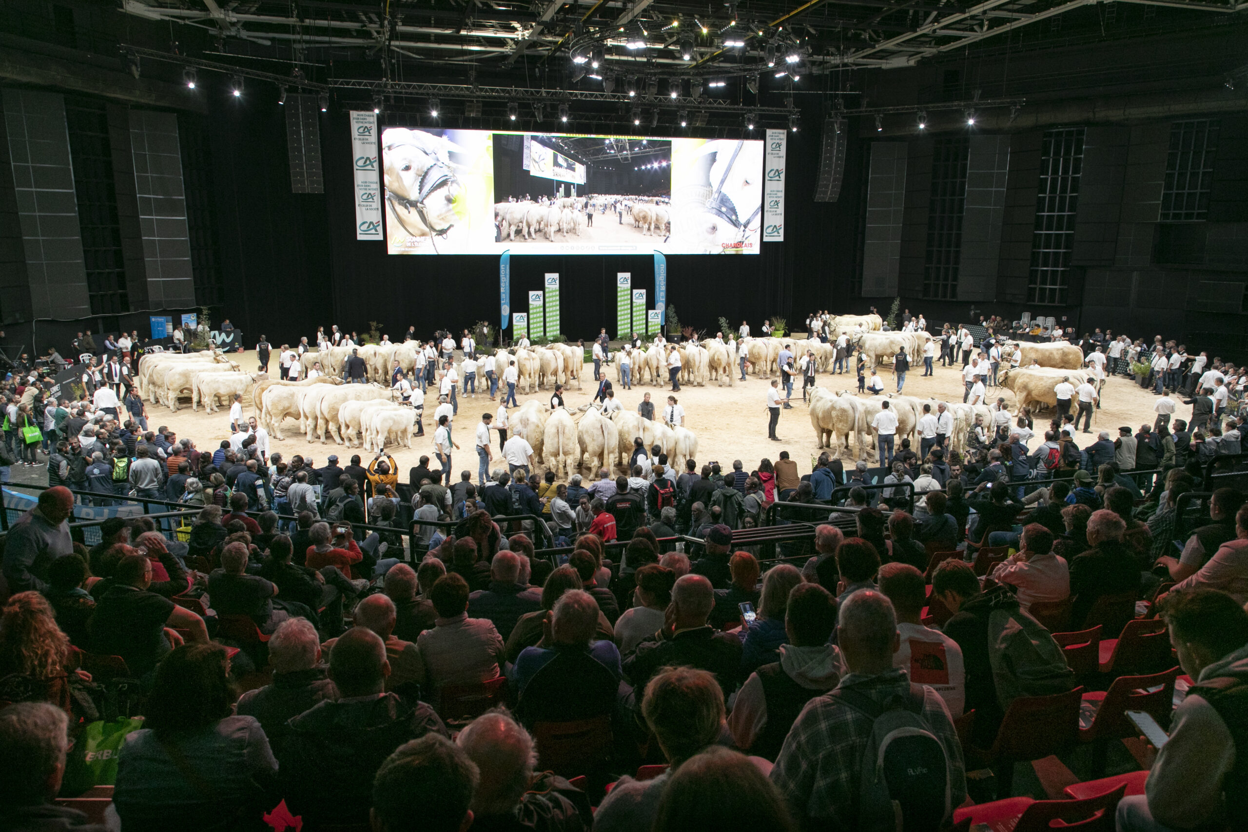 Lire la suite à propos de l’article EN DIRECT DU SOMMET DE L’ÉLEVAGE 2024