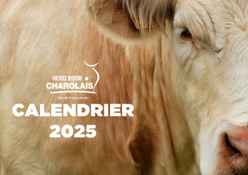 Calendrier 2025