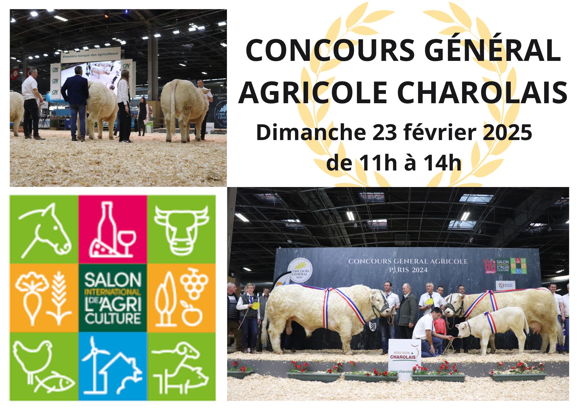 Lire la suite à propos de l’article SIA 2025 : DÉCOUVREZ LA LISTE DES ÉLEVAGES EXPOSANTS POUR L’OS CHAROLAIS FRANCE