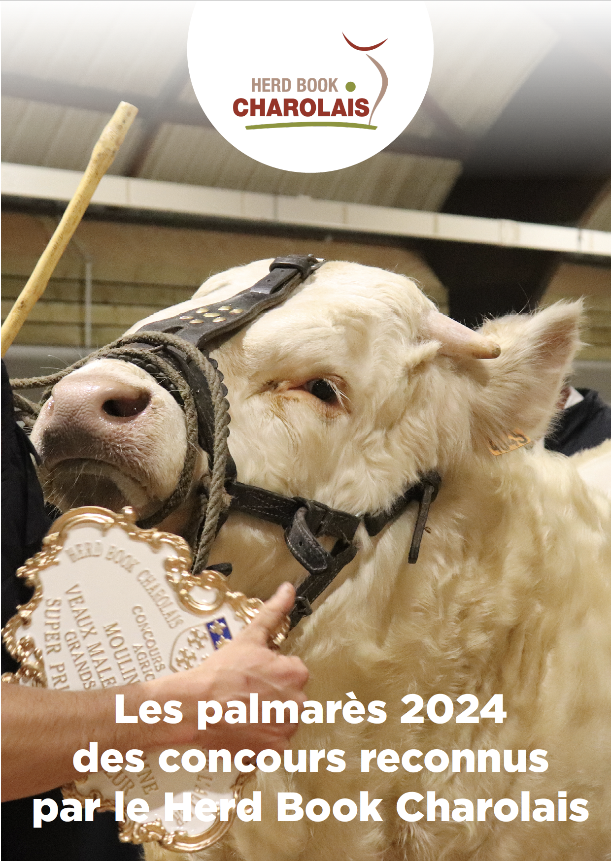 Lire la suite à propos de l’article COMMANDES REVUE PALMARÈS DES CONCOURS RECONNUS HBC 2024 : J-7 / NOUVEAU FORMAT = NOUVEAU TARIF !